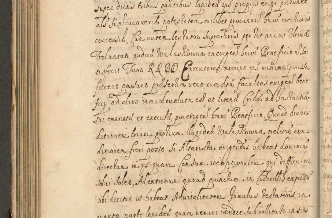 Zdjęcie nr 305 dla obiektu archiwalnego: Volumen II actorum episcopalium R. D. Petri Gembicki, episcopi Cracoviensis, locum tenente in dioecesi R. D. Alberto Lipnicki, canonico Cracoviensi post discessum R. D. Episcopi in Italiam et usque ad redditum eiusdem in Poloniam, videlicet a die 16 Novembris 1644 et per a. D. 1645 inchoative ad Septembrem. Horum videatur index ad finem huius voluminis