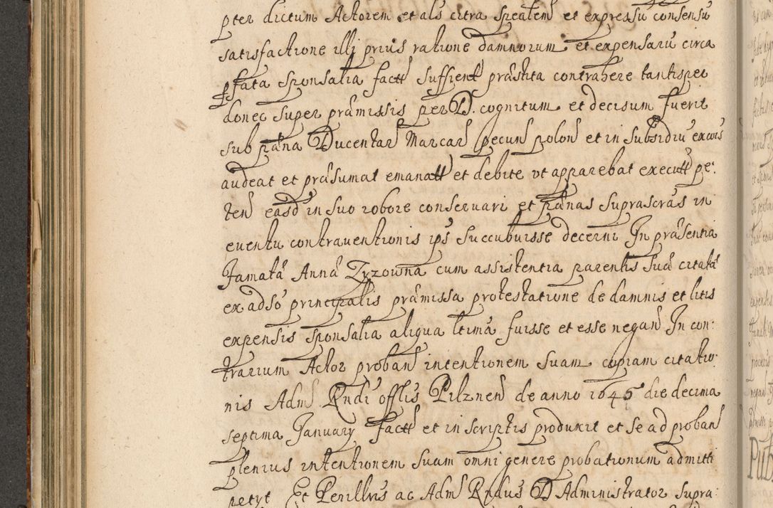 Zdjęcie nr 203 dla obiektu archiwalnego: Volumen II actorum episcopalium R. D. Petri Gembicki, episcopi Cracoviensis, locum tenente in dioecesi R. D. Alberto Lipnicki, canonico Cracoviensi post discessum R. D. Episcopi in Italiam et usque ad redditum eiusdem in Poloniam, videlicet a die 16 Novembris 1644 et per a. D. 1645 inchoative ad Septembrem. Horum videatur index ad finem huius voluminis