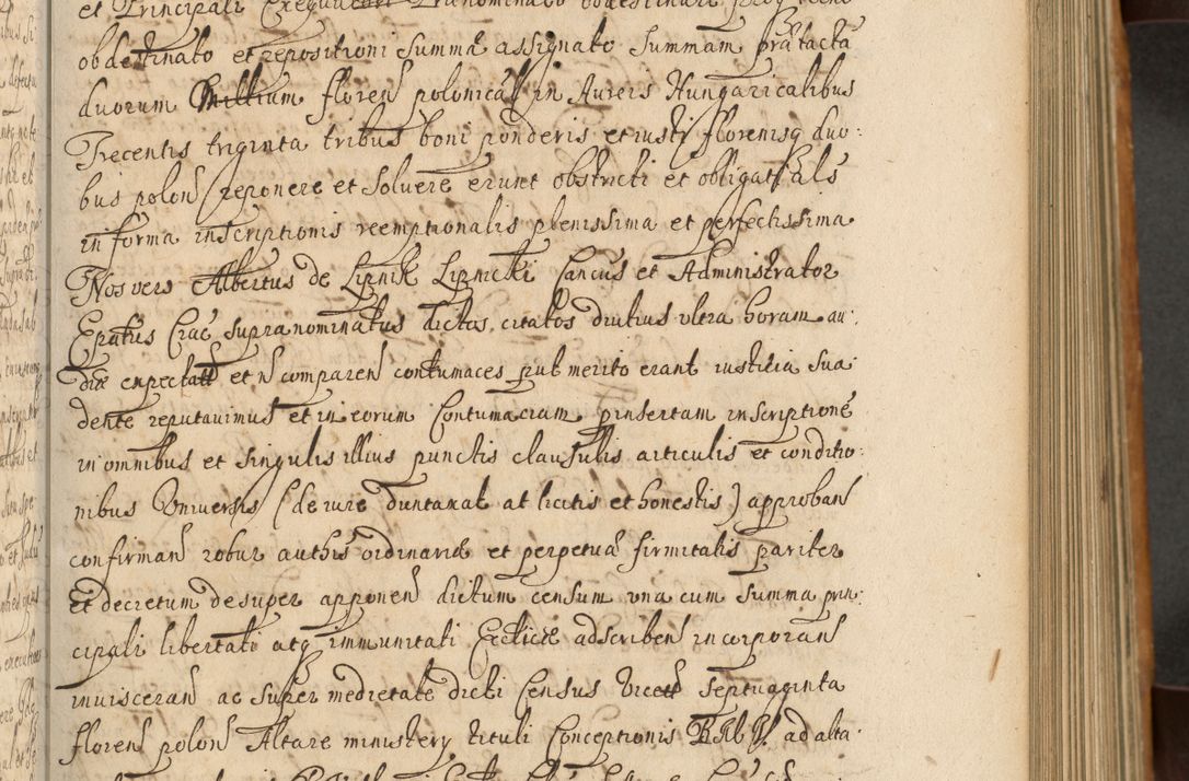 Zdjęcie nr 180 dla obiektu archiwalnego: Volumen II actorum episcopalium R. D. Petri Gembicki, episcopi Cracoviensis, locum tenente in dioecesi R. D. Alberto Lipnicki, canonico Cracoviensi post discessum R. D. Episcopi in Italiam et usque ad redditum eiusdem in Poloniam, videlicet a die 16 Novembris 1644 et per a. D. 1645 inchoative ad Septembrem. Horum videatur index ad finem huius voluminis