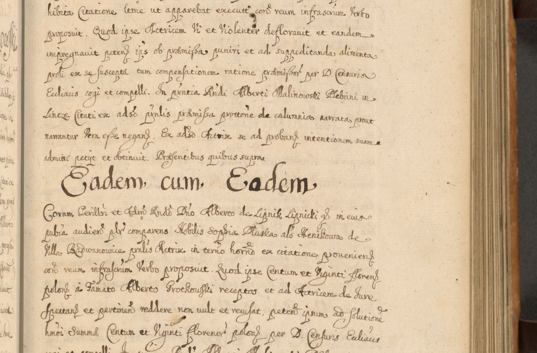 Zdjęcie nr 132 dla obiektu archiwalnego: Volumen II actorum episcopalium R. D. Petri Gembicki, episcopi Cracoviensis, locum tenente in dioecesi R. D. Alberto Lipnicki, canonico Cracoviensi post discessum R. D. Episcopi in Italiam et usque ad redditum eiusdem in Poloniam, videlicet a die 16 Novembris 1644 et per a. D. 1645 inchoative ad Septembrem. Horum videatur index ad finem huius voluminis
