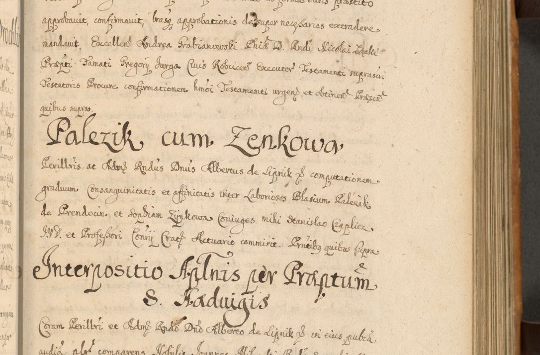 Zdjęcie nr 130 dla obiektu archiwalnego: Volumen II actorum episcopalium R. D. Petri Gembicki, episcopi Cracoviensis, locum tenente in dioecesi R. D. Alberto Lipnicki, canonico Cracoviensi post discessum R. D. Episcopi in Italiam et usque ad redditum eiusdem in Poloniam, videlicet a die 16 Novembris 1644 et per a. D. 1645 inchoative ad Septembrem. Horum videatur index ad finem huius voluminis