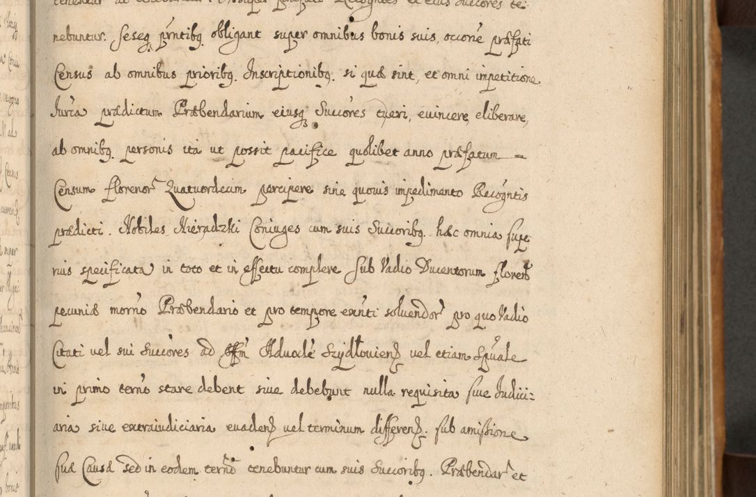 Zdjęcie nr 102 dla obiektu archiwalnego: Volumen II actorum episcopalium R. D. Petri Gembicki, episcopi Cracoviensis, locum tenente in dioecesi R. D. Alberto Lipnicki, canonico Cracoviensi post discessum R. D. Episcopi in Italiam et usque ad redditum eiusdem in Poloniam, videlicet a die 16 Novembris 1644 et per a. D. 1645 inchoative ad Septembrem. Horum videatur index ad finem huius voluminis