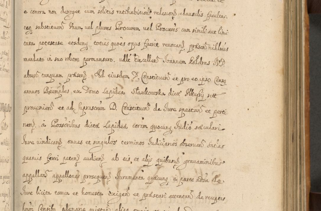 Zdjęcie nr 40 dla obiektu archiwalnego: Volumen II actorum episcopalium R. D. Petri Gembicki, episcopi Cracoviensis, locum tenente in dioecesi R. D. Alberto Lipnicki, canonico Cracoviensi post discessum R. D. Episcopi in Italiam et usque ad redditum eiusdem in Poloniam, videlicet a die 16 Novembris 1644 et per a. D. 1645 inchoative ad Septembrem. Horum videatur index ad finem huius voluminis