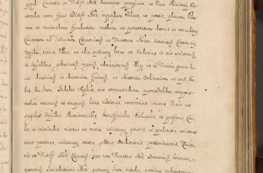 Zdjęcie nr 20 dla obiektu archiwalnego: Volumen II actorum episcopalium R. D. Petri Gembicki, episcopi Cracoviensis, locum tenente in dioecesi R. D. Alberto Lipnicki, canonico Cracoviensi post discessum R. D. Episcopi in Italiam et usque ad redditum eiusdem in Poloniam, videlicet a die 16 Novembris 1644 et per a. D. 1645 inchoative ad Septembrem. Horum videatur index ad finem huius voluminis