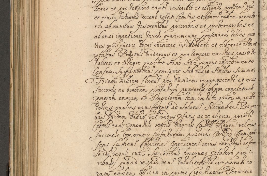 Zdjęcie nr 723 dla obiektu archiwalnego: Volumen II actorum episcopalium R. D. Petri Gembicki, episcopi Cracoviensis, locum tenente in dioecesi R. D. Alberto Lipnicki, canonico Cracoviensi post discessum R. D. Episcopi in Italiam et usque ad redditum eiusdem in Poloniam, videlicet a die 16 Novembris 1644 et per a. D. 1645 inchoative ad Septembrem. Horum videatur index ad finem huius voluminis