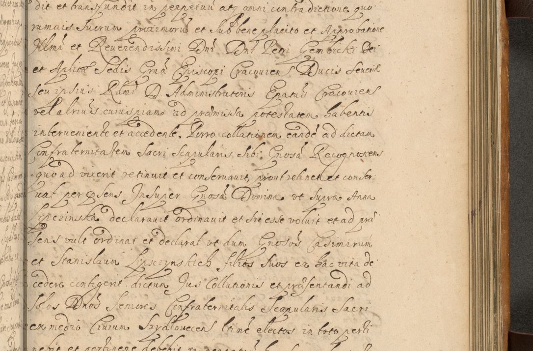 Zdjęcie nr 726 dla obiektu archiwalnego: Volumen II actorum episcopalium R. D. Petri Gembicki, episcopi Cracoviensis, locum tenente in dioecesi R. D. Alberto Lipnicki, canonico Cracoviensi post discessum R. D. Episcopi in Italiam et usque ad redditum eiusdem in Poloniam, videlicet a die 16 Novembris 1644 et per a. D. 1645 inchoative ad Septembrem. Horum videatur index ad finem huius voluminis