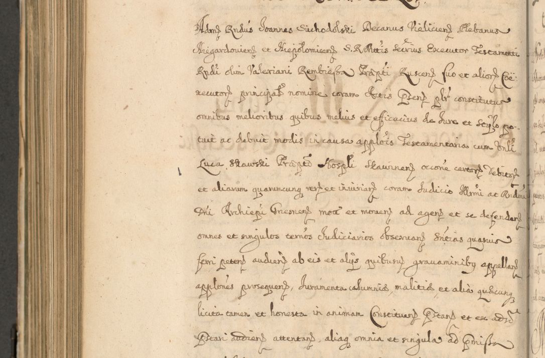 Zdjęcie nr 873 dla obiektu archiwalnego: Volumen II actorum episcopalium R. D. Petri Gembicki, episcopi Cracoviensis, locum tenente in dioecesi R. D. Alberto Lipnicki, canonico Cracoviensi post discessum R. D. Episcopi in Italiam et usque ad redditum eiusdem in Poloniam, videlicet a die 16 Novembris 1644 et per a. D. 1645 inchoative ad Septembrem. Horum videatur index ad finem huius voluminis