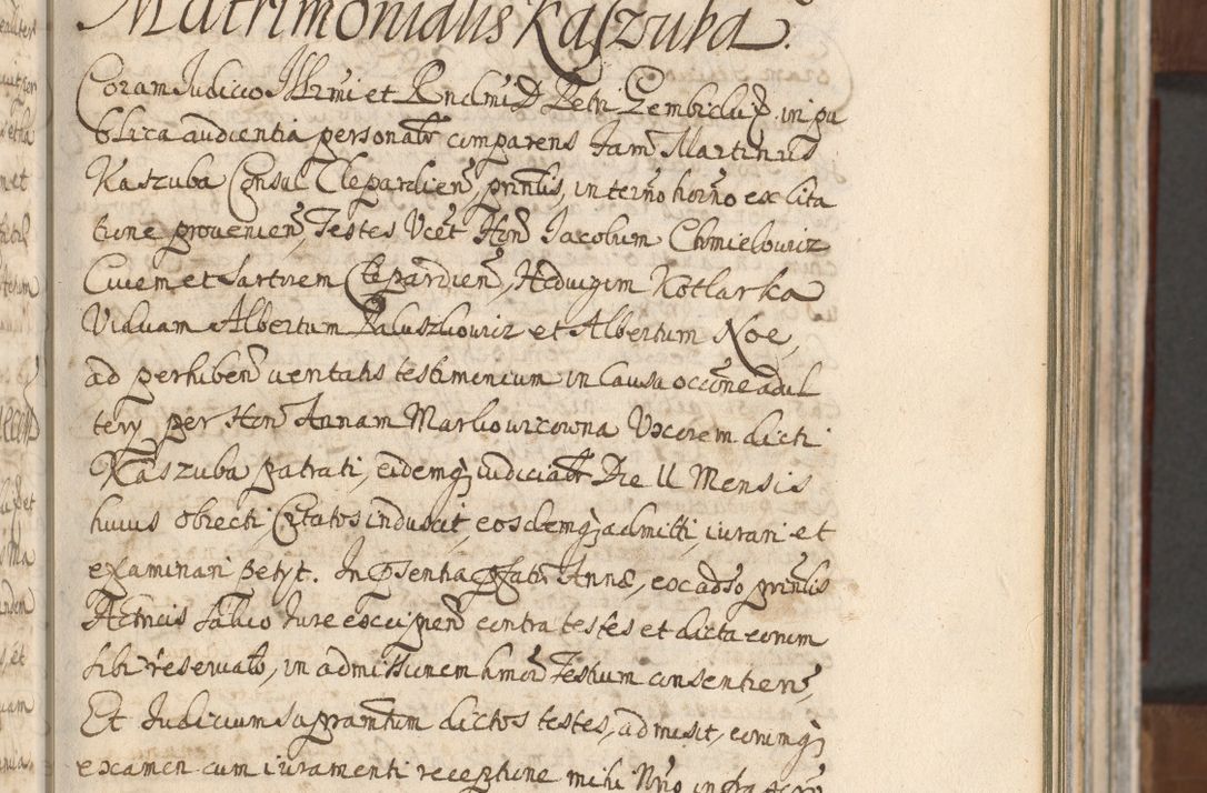Zdjęcie nr 195 dla obiektu archiwalnego: Acta actorum, decretorum, sententiarum, erectionum, confirmationum, institutionum, resignationum, constitutionum, provisionum, quietationum, submissionum, protestationum, substitutionum R. D. Petri Gembicki, episcopi Cracoviensis, ducis Severiae in a. D. 1650 et 1651 acticatorum. Volumen V