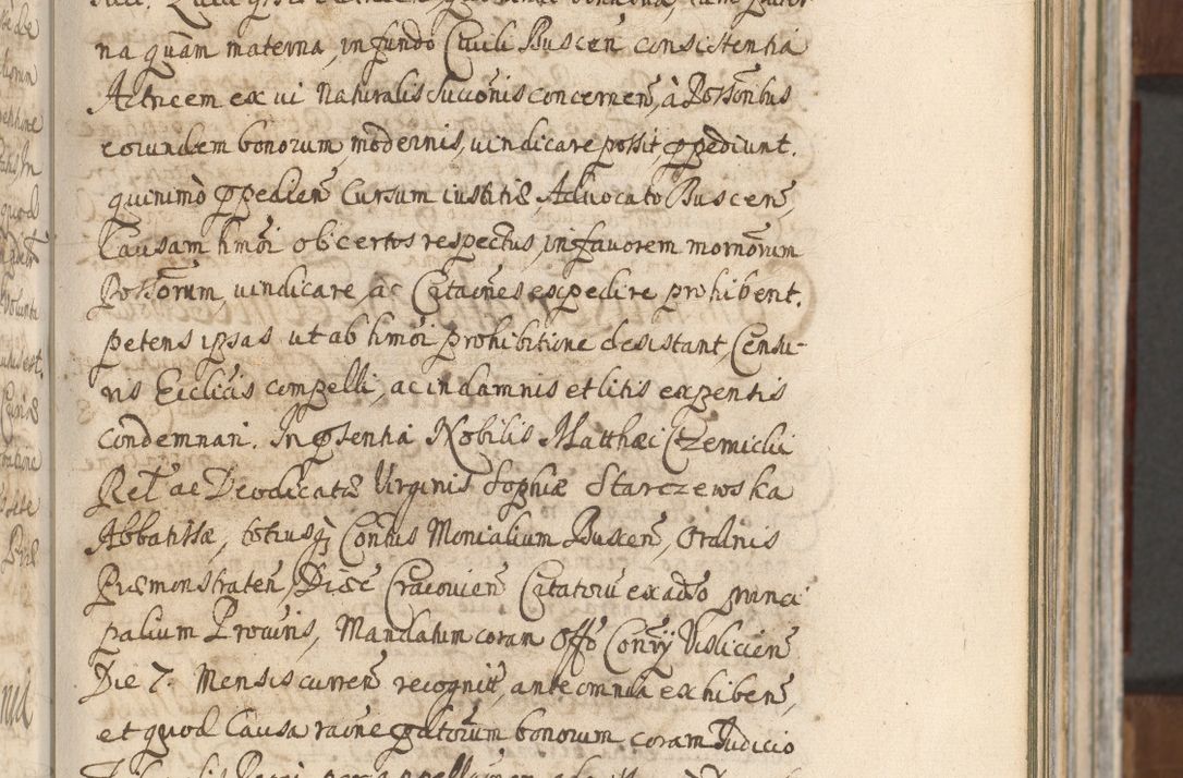 Zdjęcie nr 185 dla obiektu archiwalnego: Acta actorum, decretorum, sententiarum, erectionum, confirmationum, institutionum, resignationum, constitutionum, provisionum, quietationum, submissionum, protestationum, substitutionum R. D. Petri Gembicki, episcopi Cracoviensis, ducis Severiae in a. D. 1650 et 1651 acticatorum. Volumen V