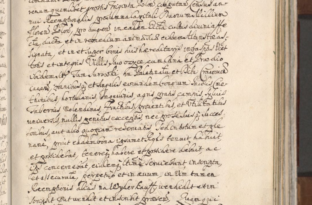 Zdjęcie nr 117 dla obiektu archiwalnego: Acta actorum, decretorum, sententiarum, erectionum, confirmationum, institutionum, resignationum, constitutionum, provisionum, quietationum, submissionum, protestationum, substitutionum R. D. Petri Gembicki, episcopi Cracoviensis, ducis Severiae in a. D. 1650 et 1651 acticatorum. Volumen V