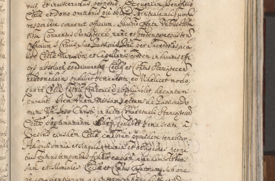 Zdjęcie nr 99 dla obiektu archiwalnego: Acta actorum, decretorum, sententiarum, erectionum, confirmationum, institutionum, resignationum, constitutionum, provisionum, quietationum, submissionum, protestationum, substitutionum R. D. Petri Gembicki, episcopi Cracoviensis, ducis Severiae in a. D. 1650 et 1651 acticatorum. Volumen V