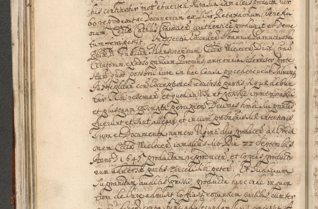 Zdjęcie nr 104 dla obiektu archiwalnego: Acta actorum, decretorum, sententiarum, erectionum, confirmationum, institutionum, resignationum, constitutionum, provisionum, quietationum, submissionum, protestationum, substitutionum R. D. Petri Gembicki, episcopi Cracoviensis, ducis Severiae in a. D. 1650 et 1651 acticatorum. Volumen V