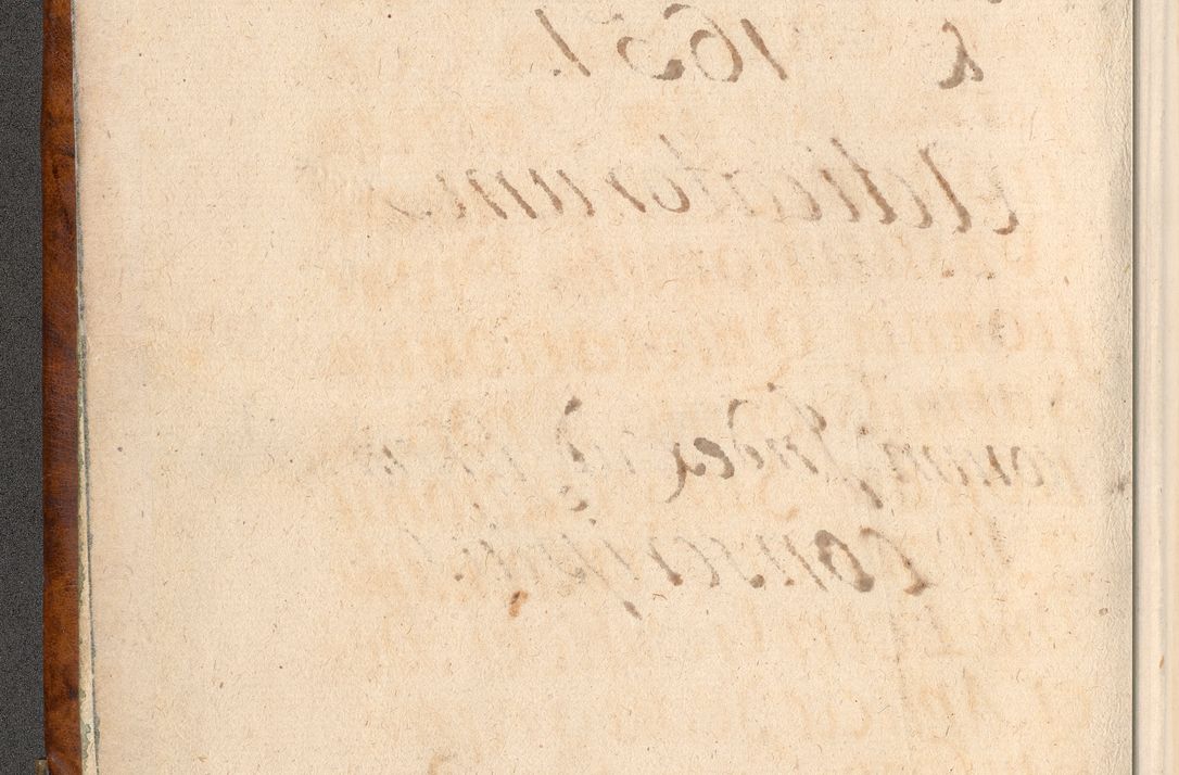 Zdjęcie nr 5 dla obiektu archiwalnego: Acta actorum, decretorum, sententiarum, erectionum, confirmationum, institutionum, resignationum, constitutionum, provisionum, quietationum, submissionum, protestationum, substitutionum R. D. Petri Gembicki, episcopi Cracoviensis, ducis Severiae in a. D. 1650 et 1651 acticatorum. Volumen V