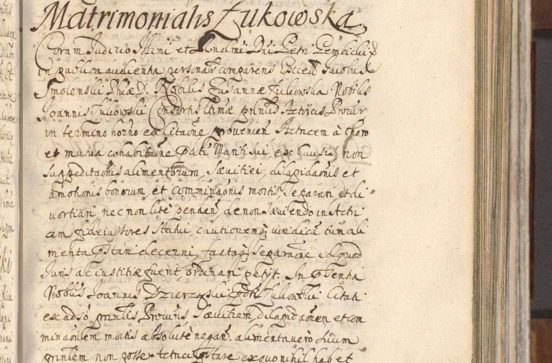 Zdjęcie nr 357 dla obiektu archiwalnego: Acta actorum, decretorum, sententiarum, erectionum, confirmationum, institutionum, resignationum, constitutionum, provisionum, quietationum, submissionum, protestationum, substitutionum R. D. Petri Gembicki, episcopi Cracoviensis, ducis Severiae in a. D. 1650 et 1651 acticatorum. Volumen V