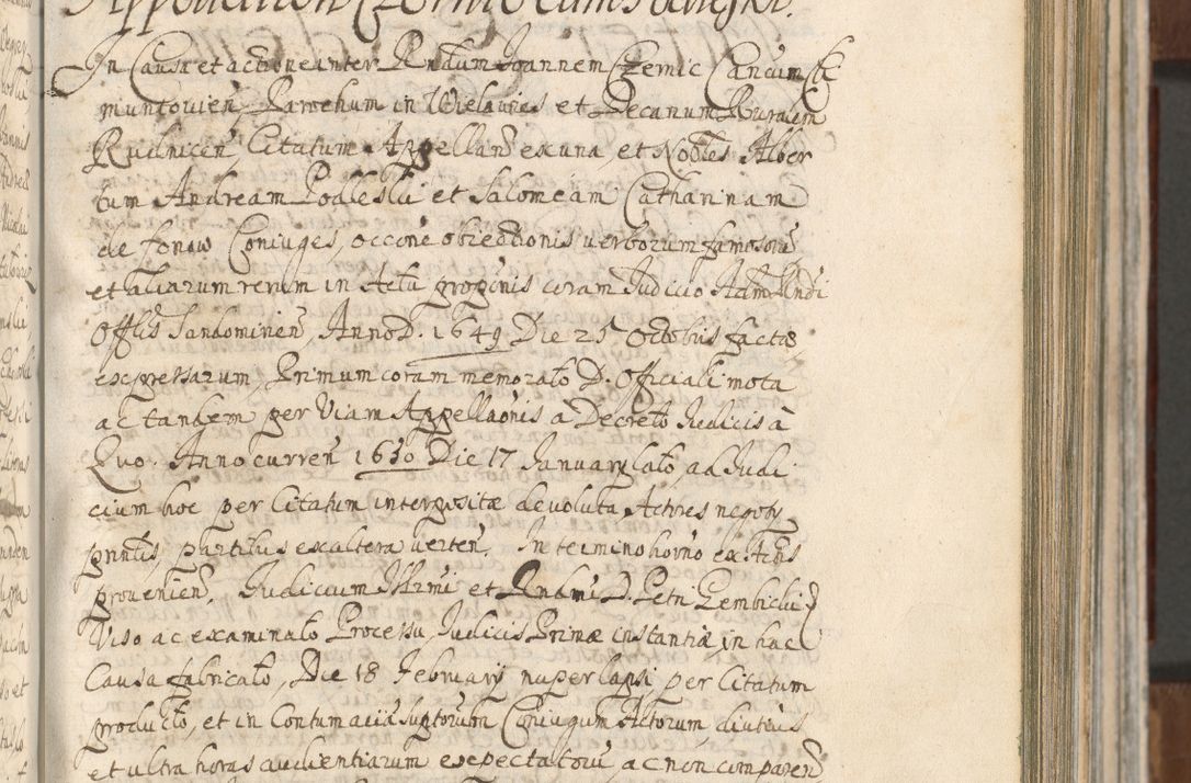 Zdjęcie nr 337 dla obiektu archiwalnego: Acta actorum, decretorum, sententiarum, erectionum, confirmationum, institutionum, resignationum, constitutionum, provisionum, quietationum, submissionum, protestationum, substitutionum R. D. Petri Gembicki, episcopi Cracoviensis, ducis Severiae in a. D. 1650 et 1651 acticatorum. Volumen V