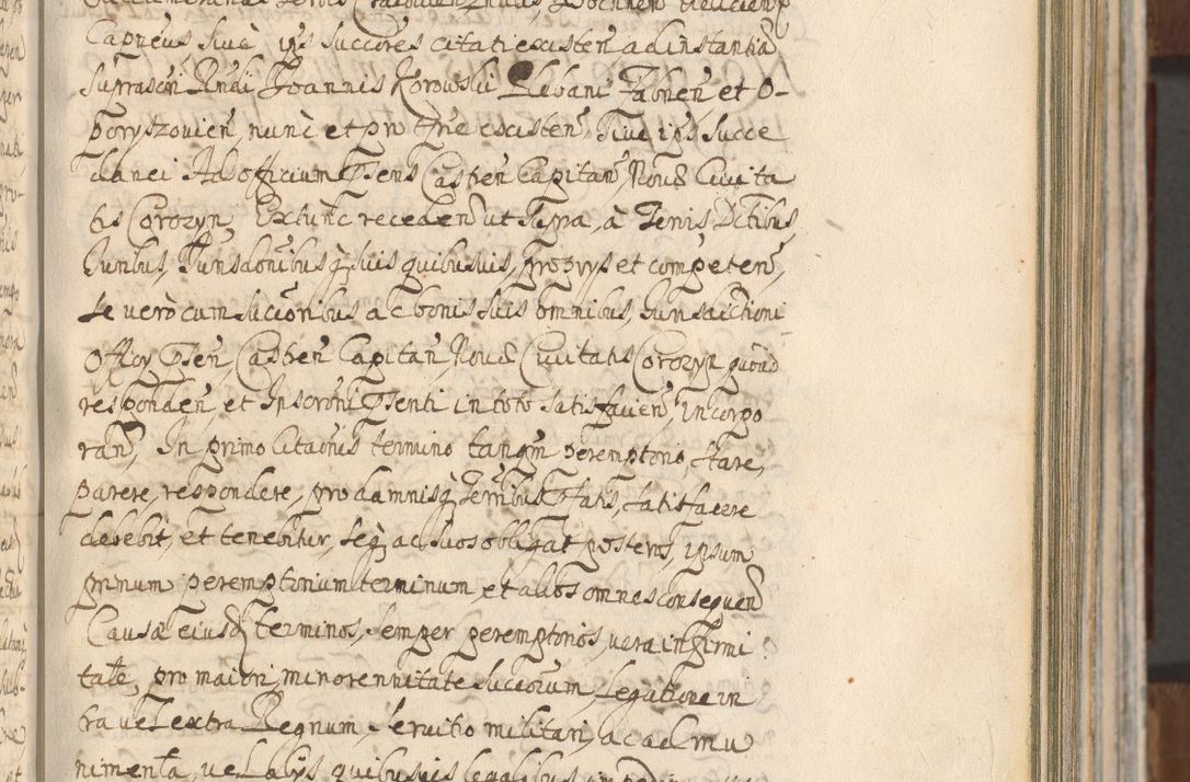 Zdjęcie nr 269 dla obiektu archiwalnego: Acta actorum, decretorum, sententiarum, erectionum, confirmationum, institutionum, resignationum, constitutionum, provisionum, quietationum, submissionum, protestationum, substitutionum R. D. Petri Gembicki, episcopi Cracoviensis, ducis Severiae in a. D. 1650 et 1651 acticatorum. Volumen V
