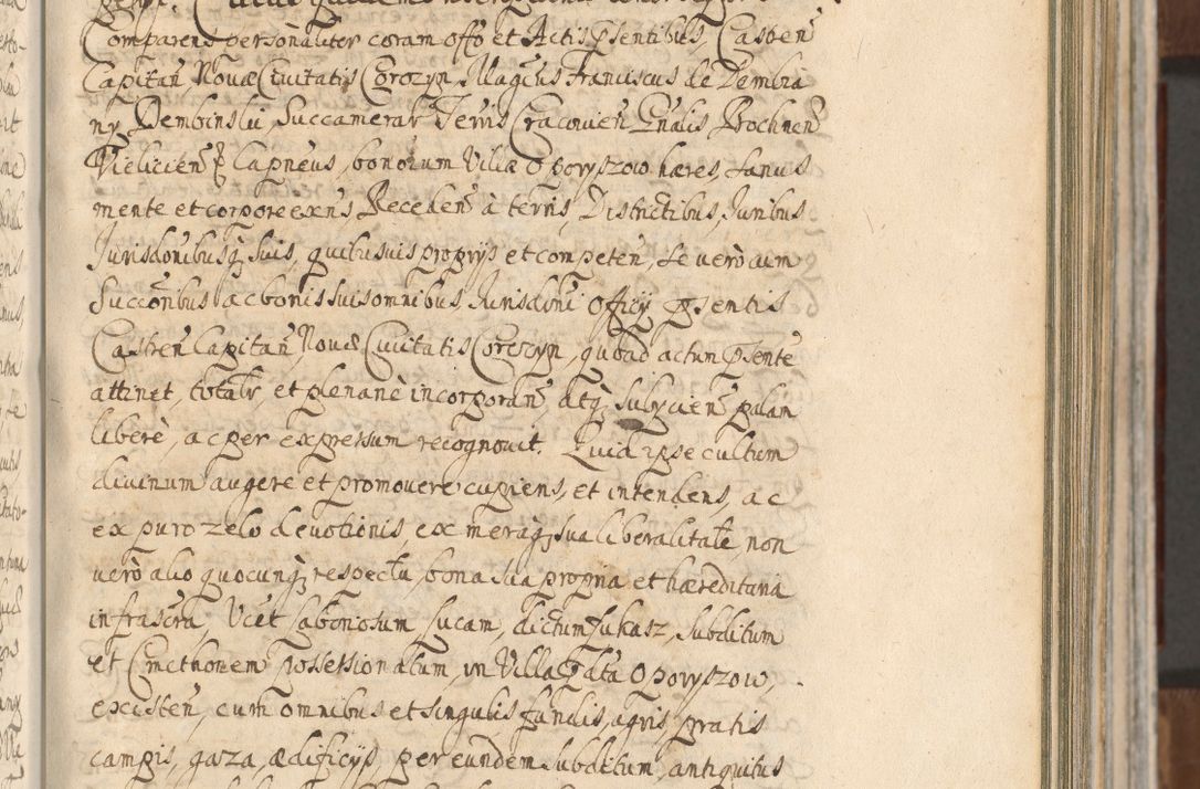 Zdjęcie nr 265 dla obiektu archiwalnego: Acta actorum, decretorum, sententiarum, erectionum, confirmationum, institutionum, resignationum, constitutionum, provisionum, quietationum, submissionum, protestationum, substitutionum R. D. Petri Gembicki, episcopi Cracoviensis, ducis Severiae in a. D. 1650 et 1651 acticatorum. Volumen V