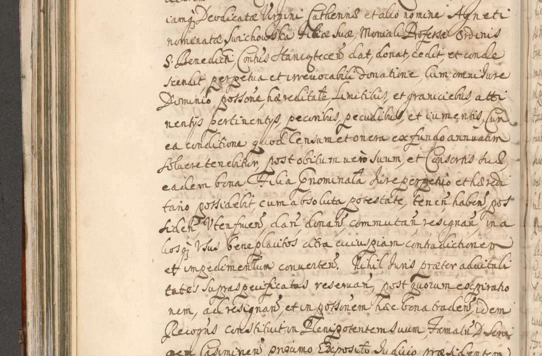Zdjęcie nr 222 dla obiektu archiwalnego: Acta actorum, decretorum, sententiarum, erectionum, confirmationum, institutionum, resignationum, constitutionum, provisionum, quietationum, submissionum, protestationum, substitutionum R. D. Petri Gembicki, episcopi Cracoviensis, ducis Severiae in a. D. 1650 et 1651 acticatorum. Volumen V
