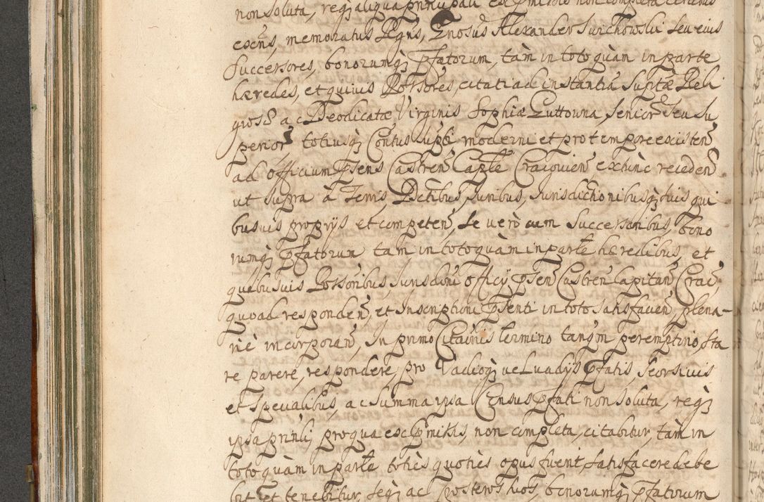 Zdjęcie nr 220 dla obiektu archiwalnego: Acta actorum, decretorum, sententiarum, erectionum, confirmationum, institutionum, resignationum, constitutionum, provisionum, quietationum, submissionum, protestationum, substitutionum R. D. Petri Gembicki, episcopi Cracoviensis, ducis Severiae in a. D. 1650 et 1651 acticatorum. Volumen V
