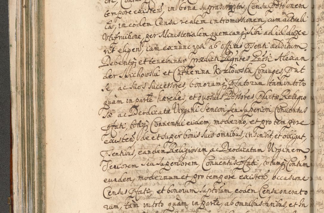 Zdjęcie nr 214 dla obiektu archiwalnego: Acta actorum, decretorum, sententiarum, erectionum, confirmationum, institutionum, resignationum, constitutionum, provisionum, quietationum, submissionum, protestationum, substitutionum R. D. Petri Gembicki, episcopi Cracoviensis, ducis Severiae in a. D. 1650 et 1651 acticatorum. Volumen V