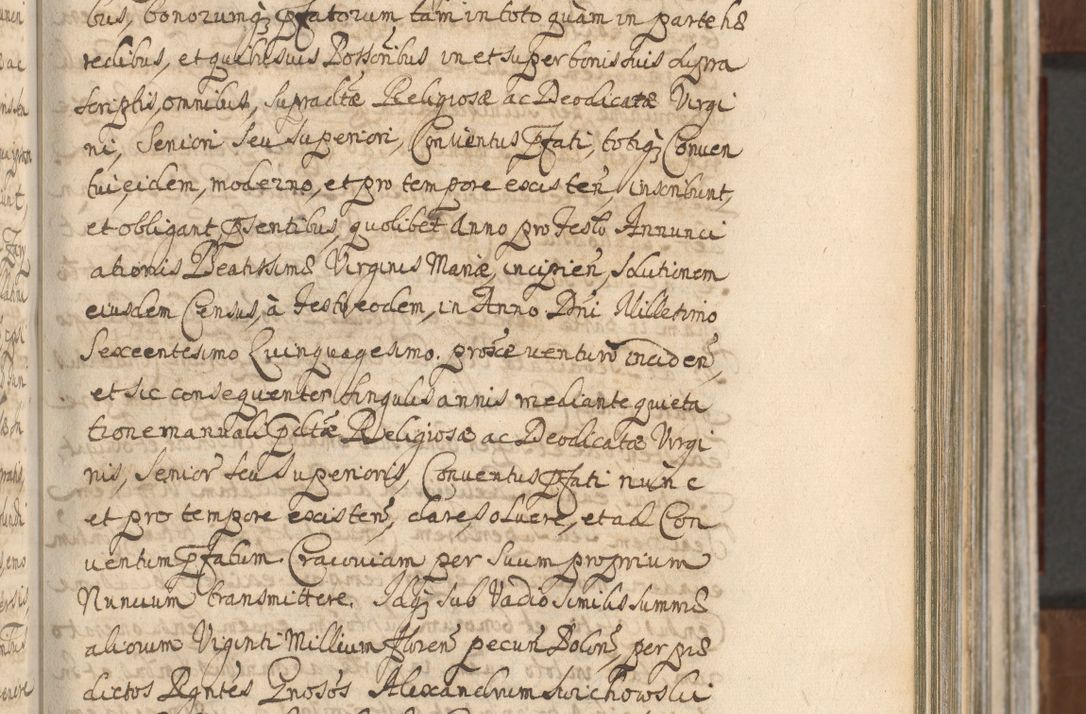 Zdjęcie nr 213 dla obiektu archiwalnego: Acta actorum, decretorum, sententiarum, erectionum, confirmationum, institutionum, resignationum, constitutionum, provisionum, quietationum, submissionum, protestationum, substitutionum R. D. Petri Gembicki, episcopi Cracoviensis, ducis Severiae in a. D. 1650 et 1651 acticatorum. Volumen V