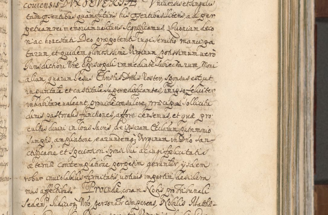 Zdjęcie nr 209 dla obiektu archiwalnego: Acta actorum, decretorum, sententiarum, erectionum, confirmationum, institutionum, resignationum, constitutionum, provisionum, quietationum, submissionum, protestationum, substitutionum R. D. Petri Gembicki, episcopi Cracoviensis, ducis Severiae in a. D. 1650 et 1651 acticatorum. Volumen V