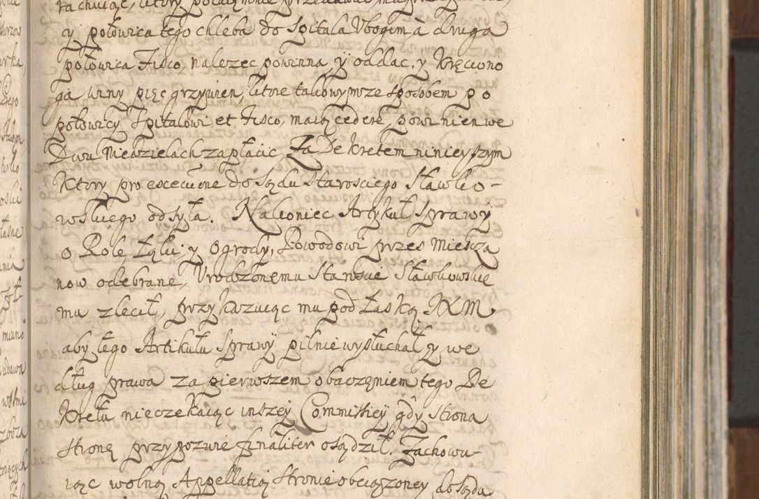 Zdjęcie nr 205 dla obiektu archiwalnego: Acta actorum, decretorum, sententiarum, erectionum, confirmationum, institutionum, resignationum, constitutionum, provisionum, quietationum, submissionum, protestationum, substitutionum R. D. Petri Gembicki, episcopi Cracoviensis, ducis Severiae in a. D. 1650 et 1651 acticatorum. Volumen V