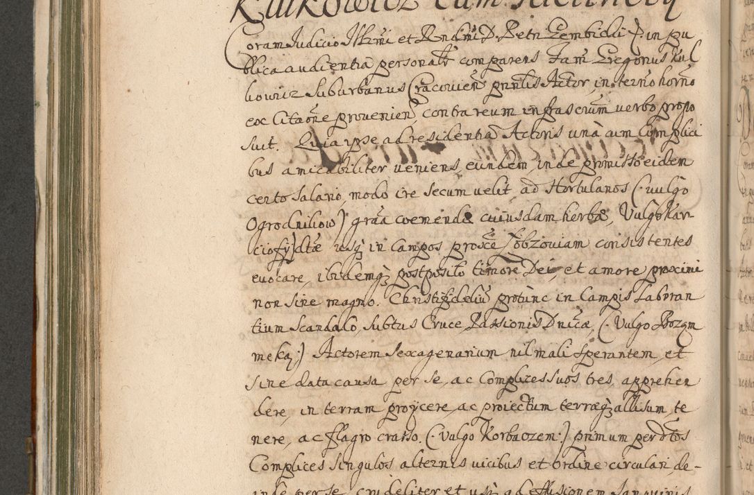 Zdjęcie nr 566 dla obiektu archiwalnego: Acta actorum, decretorum, sententiarum, erectionum, confirmationum, institutionum, resignationum, constitutionum, provisionum, quietationum, submissionum, protestationum, substitutionum R. D. Petri Gembicki, episcopi Cracoviensis, ducis Severiae in a. D. 1650 et 1651 acticatorum. Volumen V