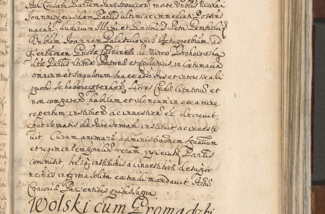 Zdjęcie nr 439 dla obiektu archiwalnego: Acta actorum, decretorum, sententiarum, erectionum, confirmationum, institutionum, resignationum, constitutionum, provisionum, quietationum, submissionum, protestationum, substitutionum R. D. Petri Gembicki, episcopi Cracoviensis, ducis Severiae in a. D. 1650 et 1651 acticatorum. Volumen V