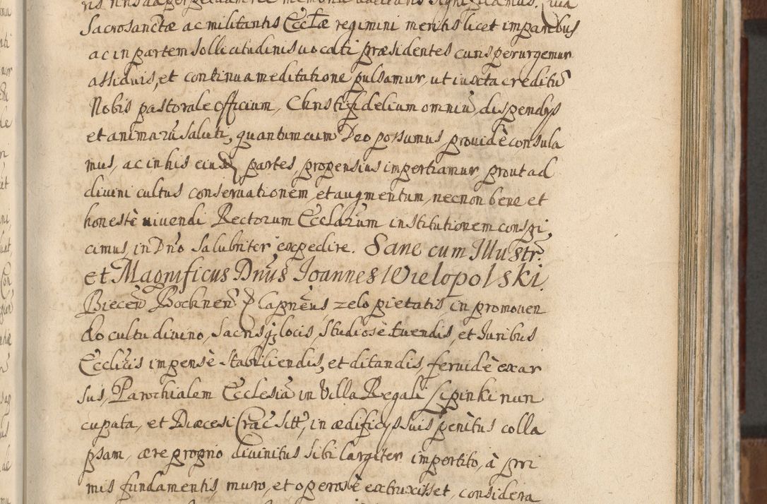 Zdjęcie nr 799 dla obiektu archiwalnego: Acta actorum, decretorum, sententiarum, erectionum, confirmationum, institutionum, resignationum, constitutionum, provisionum, quietationum, submissionum, protestationum, substitutionum R. D. Petri Gembicki, episcopi Cracoviensis, ducis Severiae in a. D. 1650 et 1651 acticatorum. Volumen V