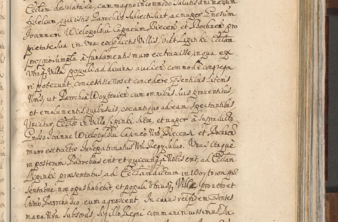 Zdjęcie nr 801 dla obiektu archiwalnego: Acta actorum, decretorum, sententiarum, erectionum, confirmationum, institutionum, resignationum, constitutionum, provisionum, quietationum, submissionum, protestationum, substitutionum R. D. Petri Gembicki, episcopi Cracoviensis, ducis Severiae in a. D. 1650 et 1651 acticatorum. Volumen V