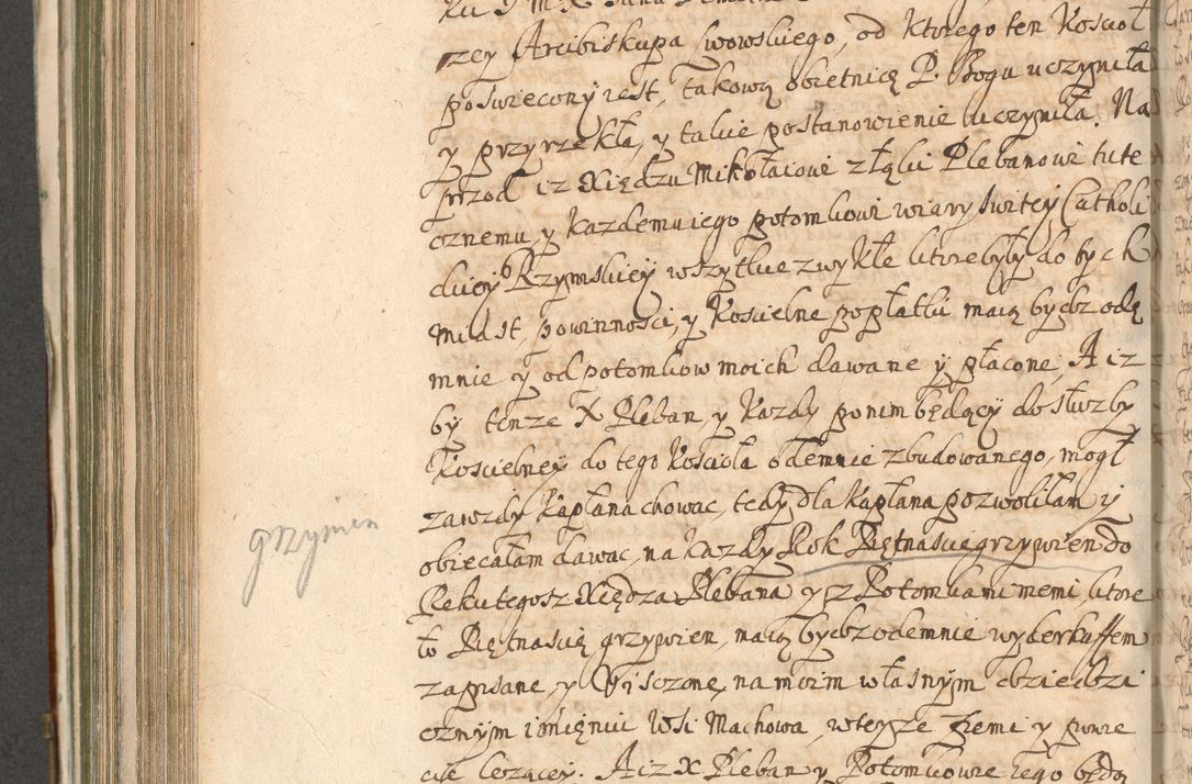 Zdjęcie nr 704 dla obiektu archiwalnego: Acta actorum, decretorum, sententiarum, erectionum, confirmationum, institutionum, resignationum, constitutionum, provisionum, quietationum, submissionum, protestationum, substitutionum R. D. Petri Gembicki, episcopi Cracoviensis, ducis Severiae in a. D. 1650 et 1651 acticatorum. Volumen V