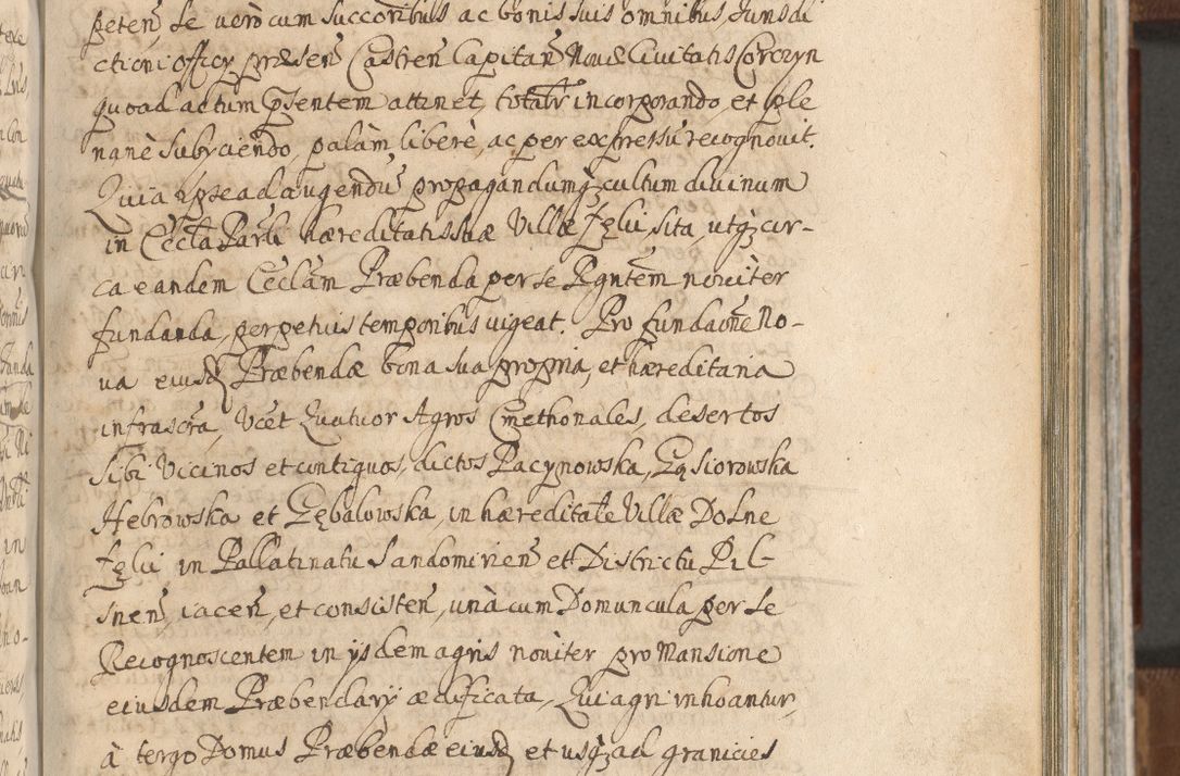 Zdjęcie nr 697 dla obiektu archiwalnego: Acta actorum, decretorum, sententiarum, erectionum, confirmationum, institutionum, resignationum, constitutionum, provisionum, quietationum, submissionum, protestationum, substitutionum R. D. Petri Gembicki, episcopi Cracoviensis, ducis Severiae in a. D. 1650 et 1651 acticatorum. Volumen V