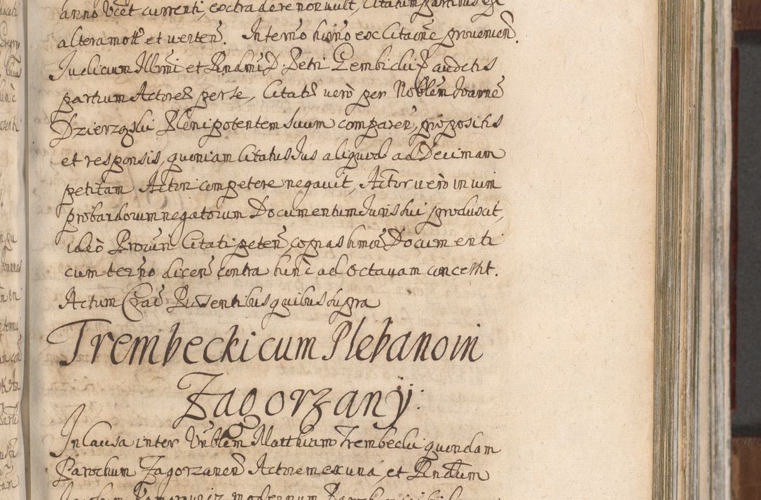 Zdjęcie nr 669 dla obiektu archiwalnego: Acta actorum, decretorum, sententiarum, erectionum, confirmationum, institutionum, resignationum, constitutionum, provisionum, quietationum, submissionum, protestationum, substitutionum R. D. Petri Gembicki, episcopi Cracoviensis, ducis Severiae in a. D. 1650 et 1651 acticatorum. Volumen V