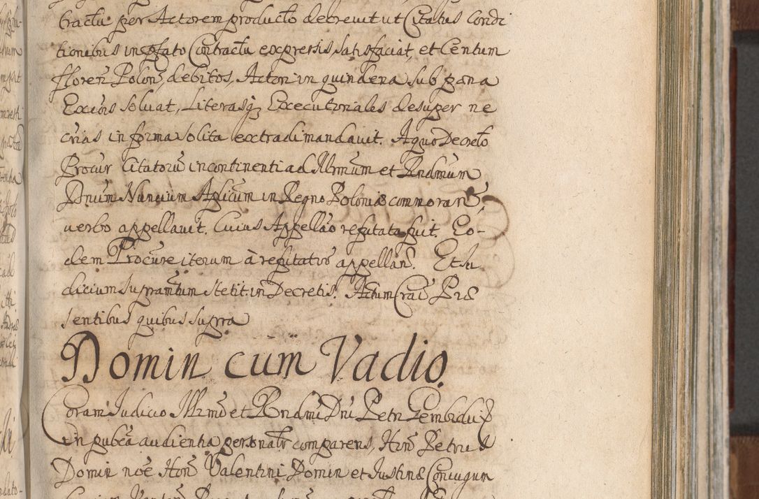 Zdjęcie nr 667 dla obiektu archiwalnego: Acta actorum, decretorum, sententiarum, erectionum, confirmationum, institutionum, resignationum, constitutionum, provisionum, quietationum, submissionum, protestationum, substitutionum R. D. Petri Gembicki, episcopi Cracoviensis, ducis Severiae in a. D. 1650 et 1651 acticatorum. Volumen V