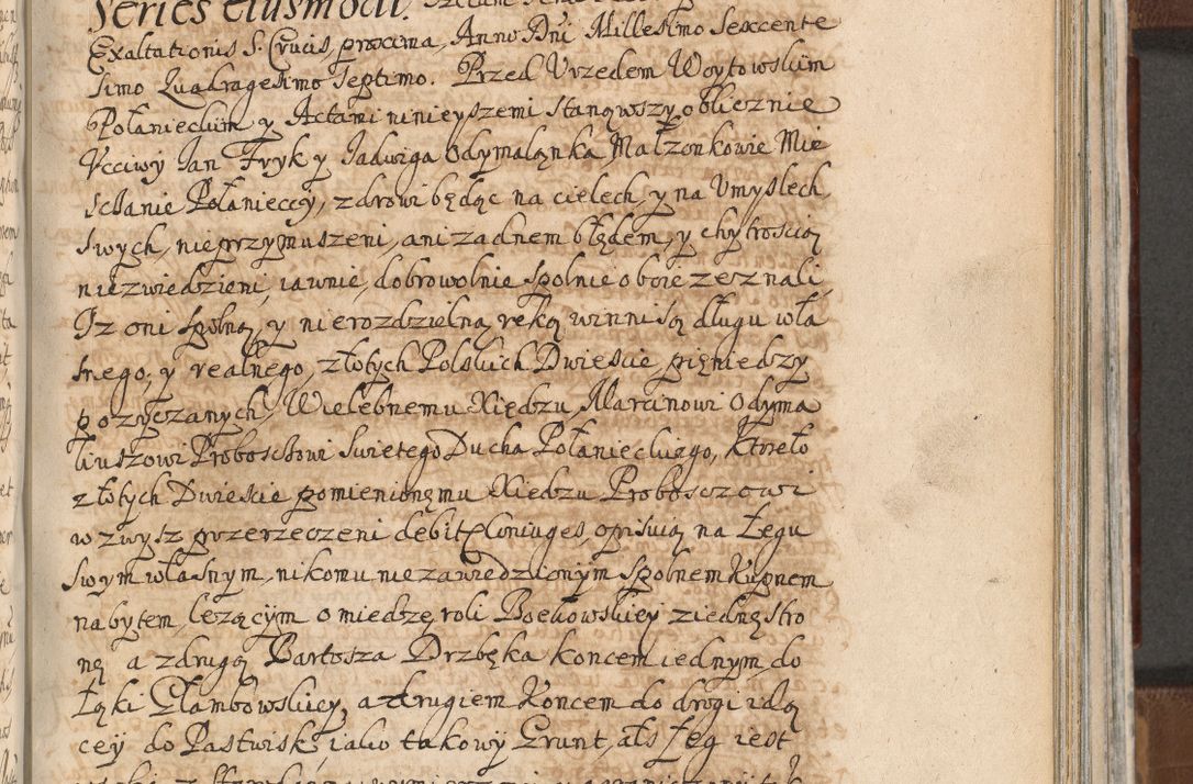 Zdjęcie nr 995 dla obiektu archiwalnego: Acta actorum, decretorum, sententiarum, erectionum, confirmationum, institutionum, resignationum, constitutionum, provisionum, quietationum, submissionum, protestationum, substitutionum R. D. Petri Gembicki, episcopi Cracoviensis, ducis Severiae in a. D. 1650 et 1651 acticatorum. Volumen V