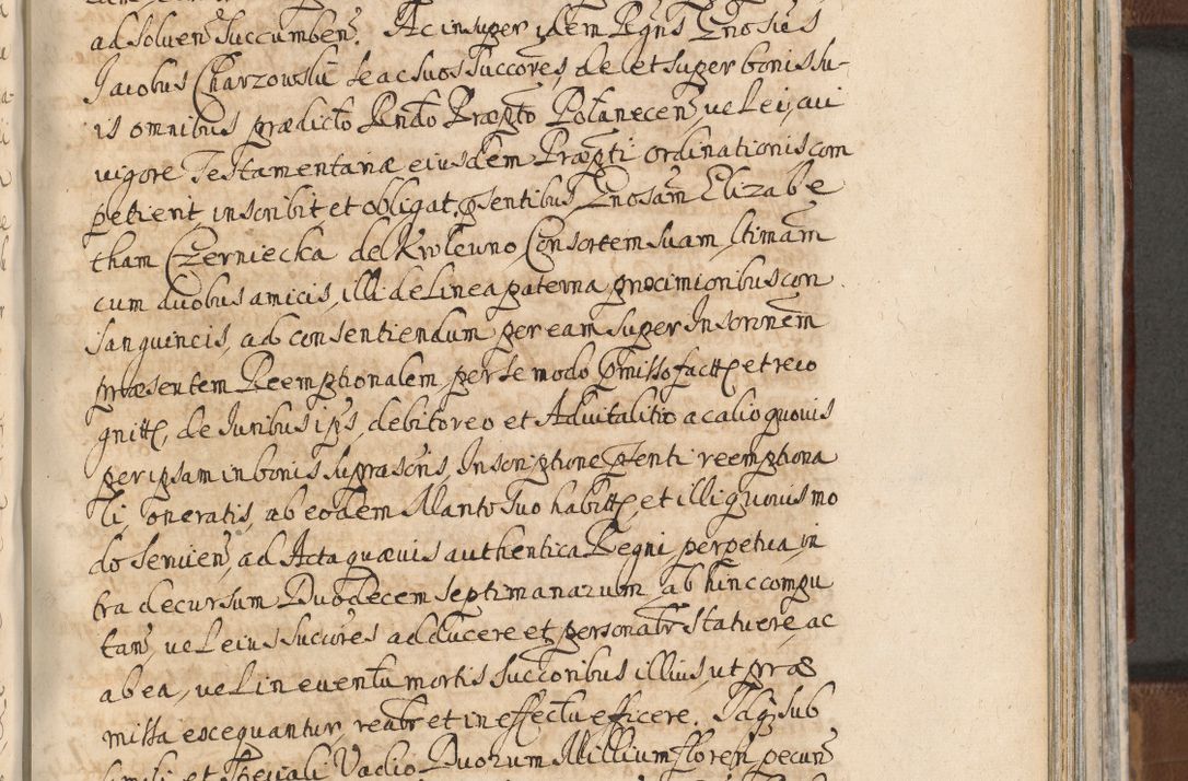 Zdjęcie nr 993 dla obiektu archiwalnego: Acta actorum, decretorum, sententiarum, erectionum, confirmationum, institutionum, resignationum, constitutionum, provisionum, quietationum, submissionum, protestationum, substitutionum R. D. Petri Gembicki, episcopi Cracoviensis, ducis Severiae in a. D. 1650 et 1651 acticatorum. Volumen V