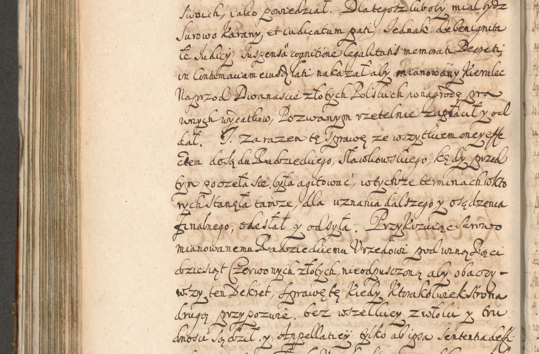 Zdjęcie nr 848 dla obiektu archiwalnego: Acta actorum, decretorum, sententiarum, erectionum, confirmationum, institutionum, resignationum, constitutionum, provisionum, quietationum, submissionum, protestationum, substitutionum R. D. Petri Gembicki, episcopi Cracoviensis, ducis Severiae in a. D. 1650 et 1651 acticatorum. Volumen V