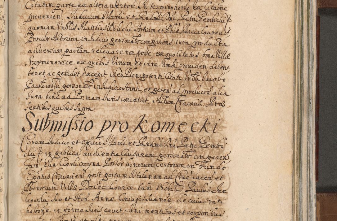 Zdjęcie nr 1126 dla obiektu archiwalnego: Acta actorum, decretorum, sententiarum, erectionum, confirmationum, institutionum, resignationum, constitutionum, provisionum, quietationum, submissionum, protestationum, substitutionum R. D. Petri Gembicki, episcopi Cracoviensis, ducis Severiae in a. D. 1650 et 1651 acticatorum. Volumen V