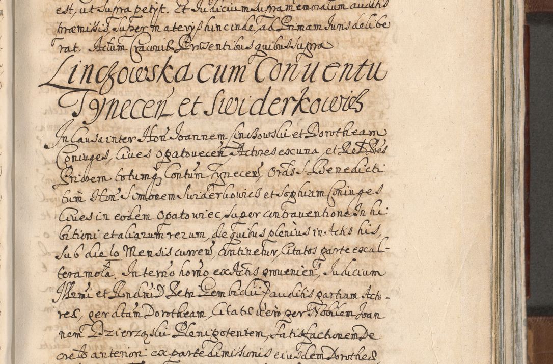Zdjęcie nr 1066 dla obiektu archiwalnego: Acta actorum, decretorum, sententiarum, erectionum, confirmationum, institutionum, resignationum, constitutionum, provisionum, quietationum, submissionum, protestationum, substitutionum R. D. Petri Gembicki, episcopi Cracoviensis, ducis Severiae in a. D. 1650 et 1651 acticatorum. Volumen V