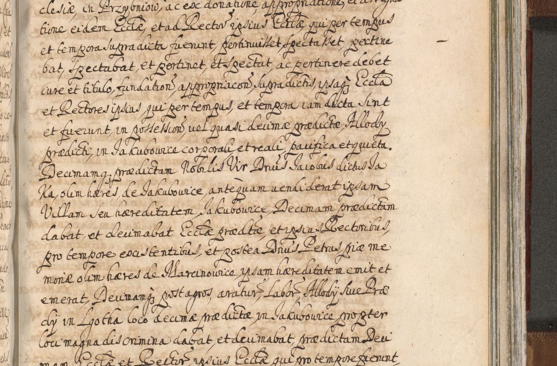 Zdjęcie nr 1343 dla obiektu archiwalnego: Acta actorum, decretorum, sententiarum, erectionum, confirmationum, institutionum, resignationum, constitutionum, provisionum, quietationum, submissionum, protestationum, substitutionum R. D. Petri Gembicki, episcopi Cracoviensis, ducis Severiae in a. D. 1650 et 1651 acticatorum. Volumen V