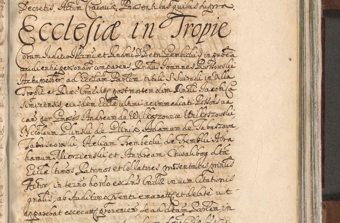 Zdjęcie nr 1295 dla obiektu archiwalnego: Acta actorum, decretorum, sententiarum, erectionum, confirmationum, institutionum, resignationum, constitutionum, provisionum, quietationum, submissionum, protestationum, substitutionum R. D. Petri Gembicki, episcopi Cracoviensis, ducis Severiae in a. D. 1650 et 1651 acticatorum. Volumen V