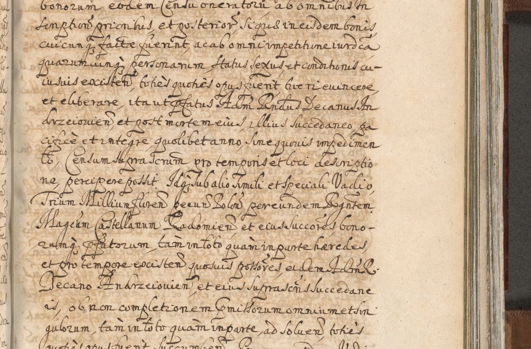 Zdjęcie nr 1265 dla obiektu archiwalnego: Acta actorum, decretorum, sententiarum, erectionum, confirmationum, institutionum, resignationum, constitutionum, provisionum, quietationum, submissionum, protestationum, substitutionum R. D. Petri Gembicki, episcopi Cracoviensis, ducis Severiae in a. D. 1650 et 1651 acticatorum. Volumen V