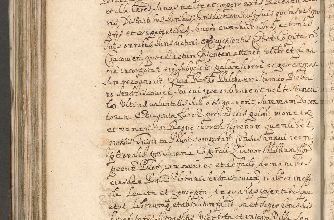 Zdjęcie nr 1260 dla obiektu archiwalnego: Acta actorum, decretorum, sententiarum, erectionum, confirmationum, institutionum, resignationum, constitutionum, provisionum, quietationum, submissionum, protestationum, substitutionum R. D. Petri Gembicki, episcopi Cracoviensis, ducis Severiae in a. D. 1650 et 1651 acticatorum. Volumen V