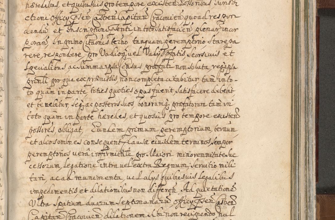Zdjęcie nr 1257 dla obiektu archiwalnego: Acta actorum, decretorum, sententiarum, erectionum, confirmationum, institutionum, resignationum, constitutionum, provisionum, quietationum, submissionum, protestationum, substitutionum R. D. Petri Gembicki, episcopi Cracoviensis, ducis Severiae in a. D. 1650 et 1651 acticatorum. Volumen V