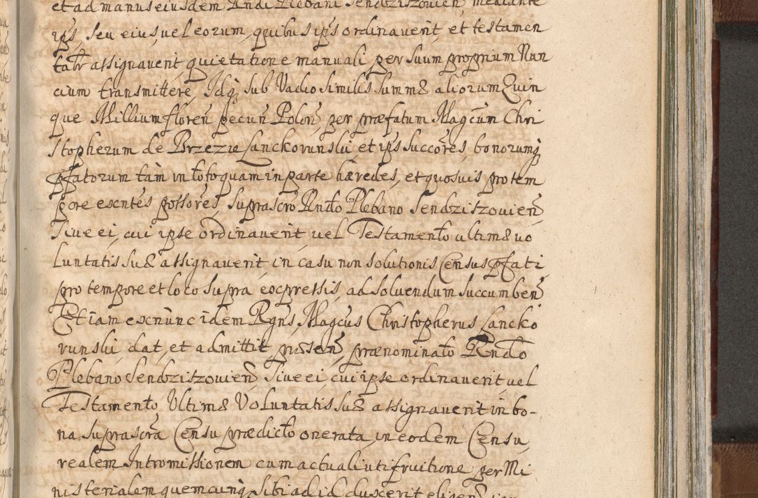 Zdjęcie nr 1255 dla obiektu archiwalnego: Acta actorum, decretorum, sententiarum, erectionum, confirmationum, institutionum, resignationum, constitutionum, provisionum, quietationum, submissionum, protestationum, substitutionum R. D. Petri Gembicki, episcopi Cracoviensis, ducis Severiae in a. D. 1650 et 1651 acticatorum. Volumen V
