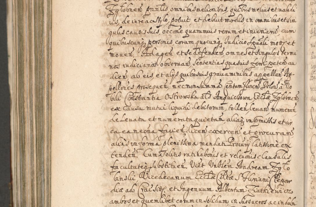 Zdjęcie nr 1592 dla obiektu archiwalnego: Acta actorum, decretorum, sententiarum, erectionum, confirmationum, institutionum, resignationum, constitutionum, provisionum, quietationum, submissionum, protestationum, substitutionum R. D. Petri Gembicki, episcopi Cracoviensis, ducis Severiae in a. D. 1650 et 1651 acticatorum. Volumen V