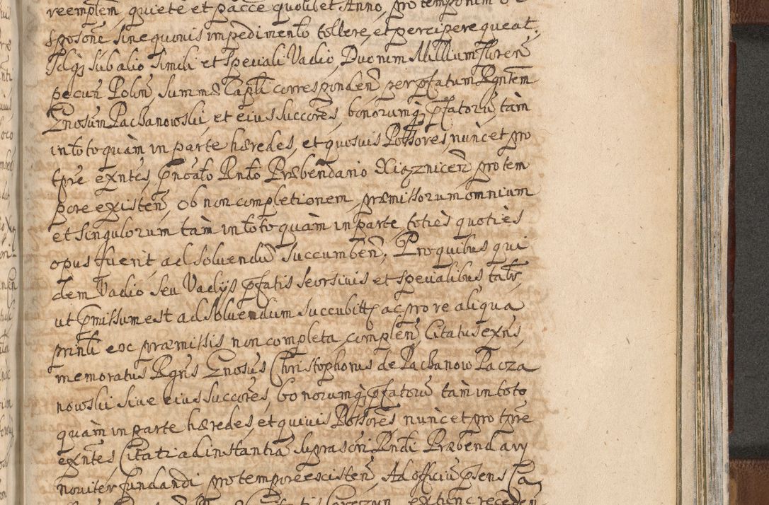 Zdjęcie nr 1449 dla obiektu archiwalnego: Acta actorum, decretorum, sententiarum, erectionum, confirmationum, institutionum, resignationum, constitutionum, provisionum, quietationum, submissionum, protestationum, substitutionum R. D. Petri Gembicki, episcopi Cracoviensis, ducis Severiae in a. D. 1650 et 1651 acticatorum. Volumen V