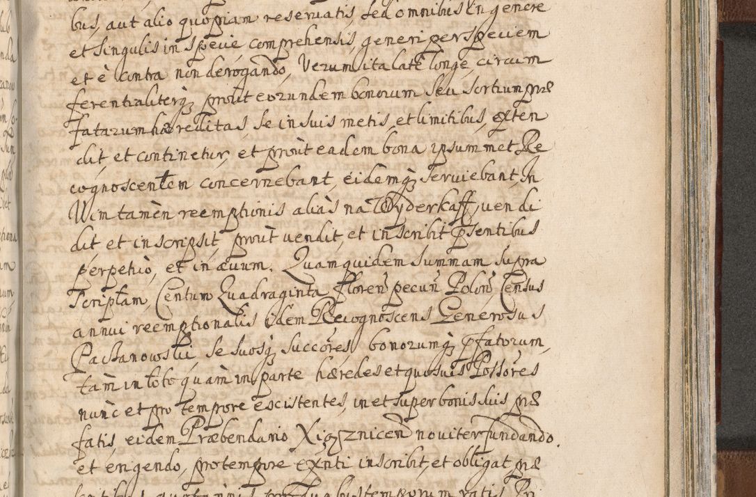 Zdjęcie nr 1447 dla obiektu archiwalnego: Acta actorum, decretorum, sententiarum, erectionum, confirmationum, institutionum, resignationum, constitutionum, provisionum, quietationum, submissionum, protestationum, substitutionum R. D. Petri Gembicki, episcopi Cracoviensis, ducis Severiae in a. D. 1650 et 1651 acticatorum. Volumen V