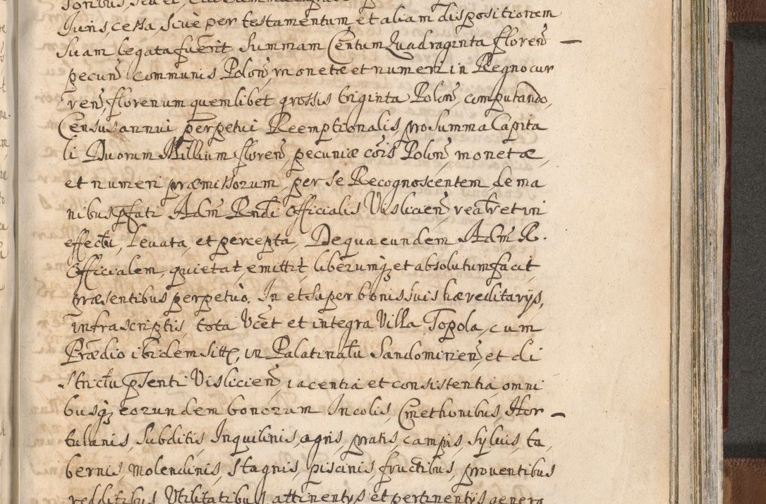 Zdjęcie nr 1433 dla obiektu archiwalnego: Acta actorum, decretorum, sententiarum, erectionum, confirmationum, institutionum, resignationum, constitutionum, provisionum, quietationum, submissionum, protestationum, substitutionum R. D. Petri Gembicki, episcopi Cracoviensis, ducis Severiae in a. D. 1650 et 1651 acticatorum. Volumen V